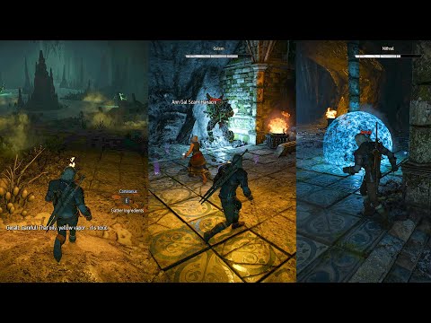 The Witcher 3 - Wandering in the Dark - FAST walkthrough in 24 Minutes