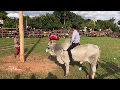 P-3 VIDEO RESUMEN DE LA FIESTA DE HUACARAJE 2025