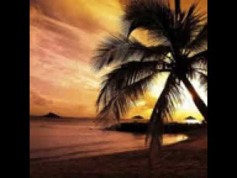 DİK YOKUŞ VE DAİMÎ ZİKİR İÇİN TAVSİYELER   144P