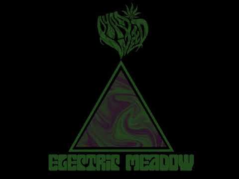 Pyraweed - Electric Meadow (Full Album 2018)