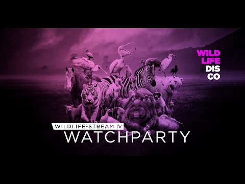 Stream | Rooftop | DJ Mix