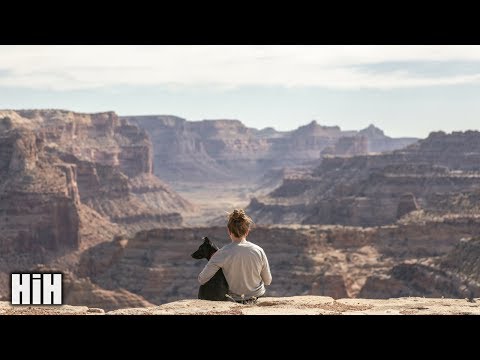 Qulinez - World Gone Crazy