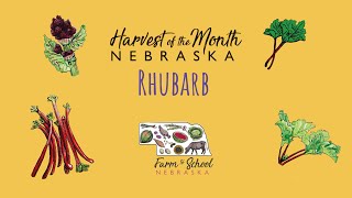 Harvest of the Month: Rhubarb