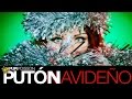 PUPI POISSON PUTON NAVIDEÑO