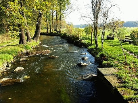 Bachgeflüster - Sounds of Nature - Lausche dem leisen Geplätscher eines Baches - Naturgeräusche