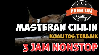 Download lagu Masteran Cililin Nembak Panjang 3 Jam Nonstop Jernih Paling Mudah Ditiru mp3