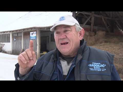 Nezadovoljni stočar - Knić