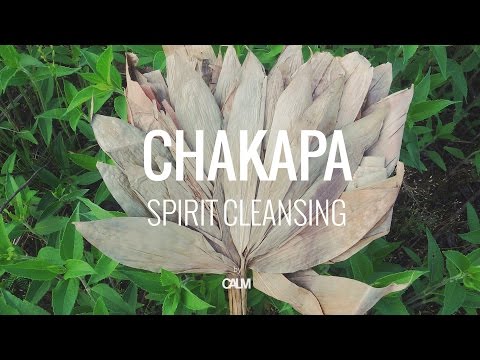 Chakapa Spirit Cleansing - Ceremony music | Calm