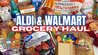 NEW GROCERY HAUL ALDI AND WALMART FINDS