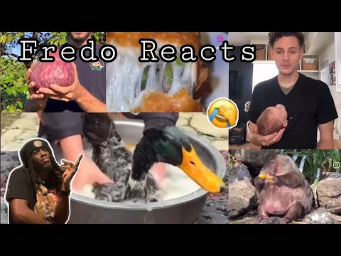 If you laugh you lose (99% fail) | Fredo on TV