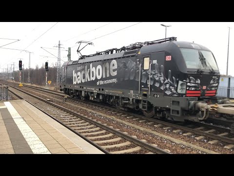 Züge in Falkenberg (Elster) Teil 5/5: "I am the backbone of economy" DB Cargo Vectron und mehr!