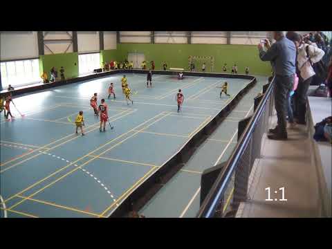 mladší žáci , florbal jesenice - vosy 19.11.2017