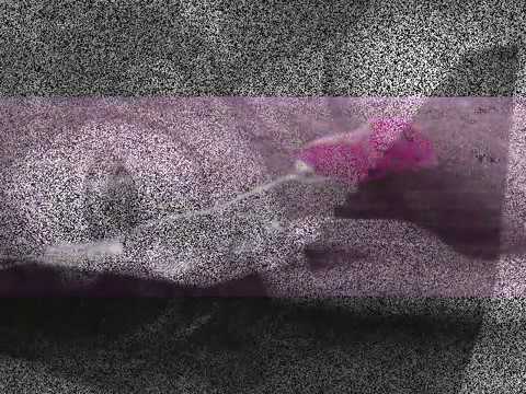 Dale moj bandille dale - Grupi Ergjëria (ndalohet rreptësisht kopjimi dhe ripublikimi)