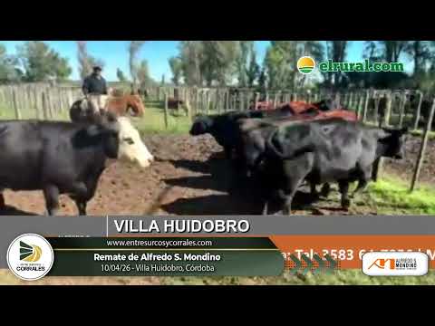 10-04-26 - Remate de Alfredo S. Mondino en Villa Huidobro, Córdoba