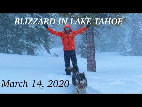 Snow Shoeing Tahoe Donner - Truckee is in a BLIZZARD!