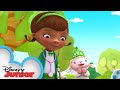 Doc Saves St. Patrick's Day! 🍀 | Doc McStuffins | Disney Junior
