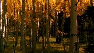 Rick Wakeman - Amazing Grace