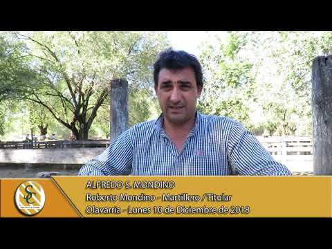 10-12-18 Nota Roberto Mondino - Martillero/Titular - Alfredo S. Mondino - Olavarria