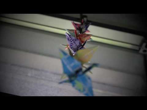 Birthday Cranes