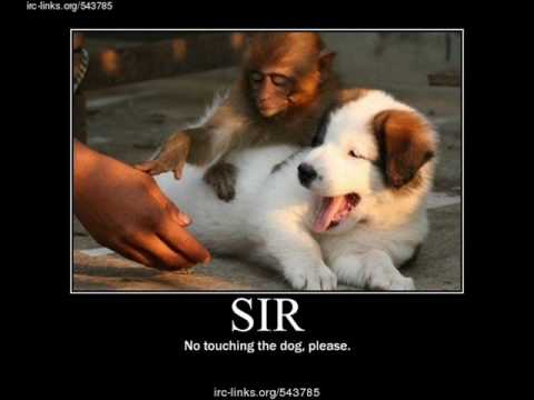 UNCZ In Da Chelet, Ruffstuff, Skibba, Funsta and Harry Shotta - part 3