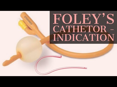 Foley Catheter - Silicone Foley Catheter Latest Price, Manufacturers ...