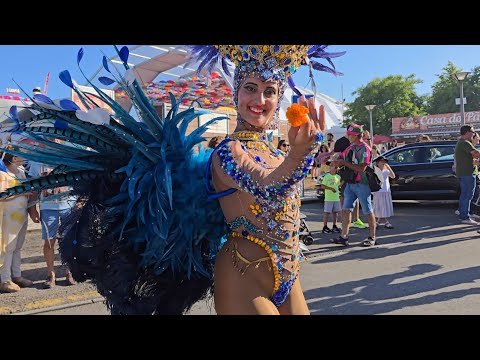 Juventude Vareira @Carnaval Fora D'Horas   Agitágueda 2025 II