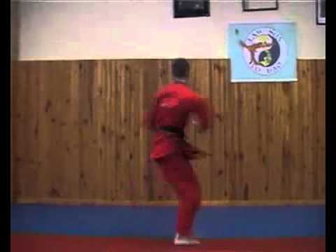 Team Carrio old sampler