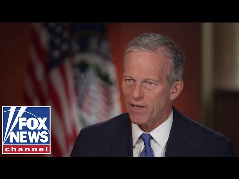 This is a CLEAR example of 'Trump Derangement Syndrome': GOP senator