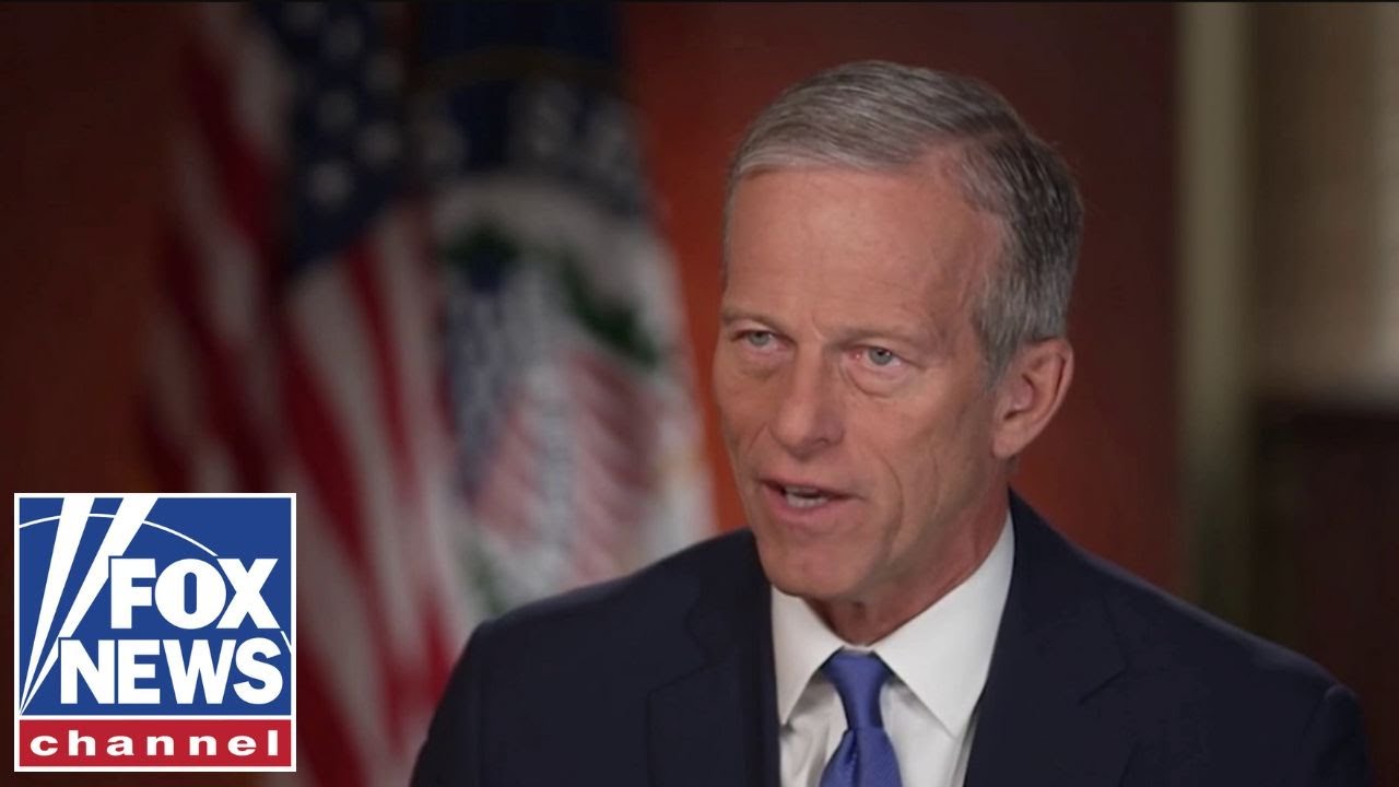 This is a CLEAR example of 'Trump Derangement Syndrome': GOP senator