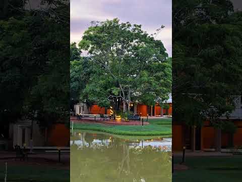 ✨ Una parada inesperada me llevó aconocer Faranda Guayacanes Hotel 🏝️@hotelfarandaguayacanes