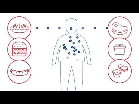 Kardiovaskularne bolesti: Kako prehrana i tjelovježba utječu na srce i arterije?
