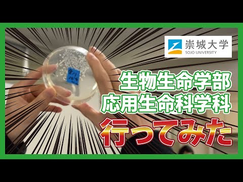 美術学科 応用生命科学科に行ってみた！