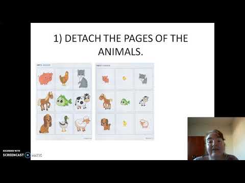 Class 22: Baby animals - part 2