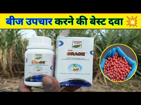 Uttam Grace Insecticide + Fungicide | Pyraclostrobin 2.5% + Thiram 15% + Clothianidin 22.5 % FS