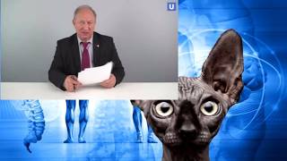 Святые из трущоб - Гозман не даст соврать. Костян - 2022