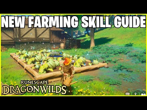 RuneScape Dragon Wilds: Farming Guide!