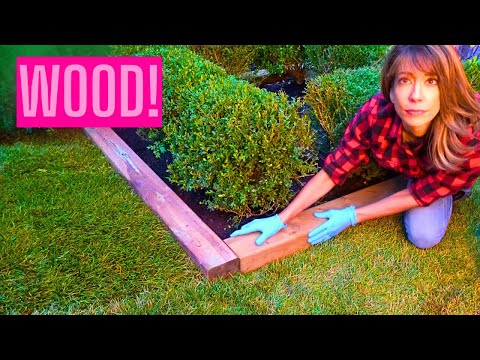 How To Install Lawn Edging | Why No One Wants FAKE Edging Anymore!
