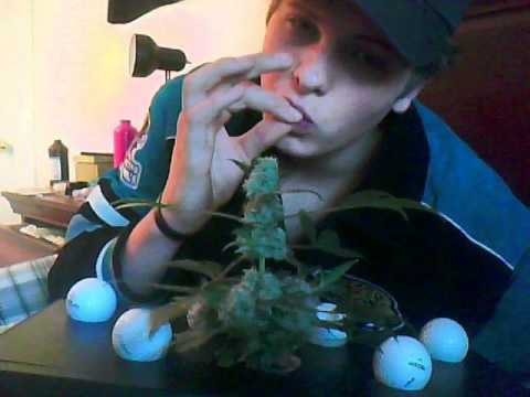 God Like - Chastain Apocalypz