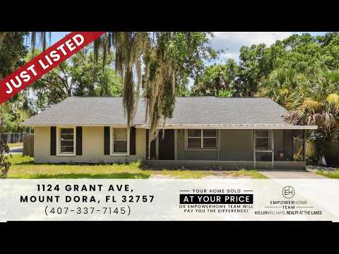 Zillow Mount Dora Florida