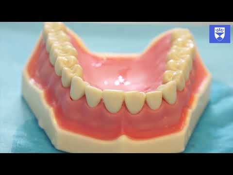 Trauma: Immediate Composite Placement Techniques for a Fractured Anterior Tooth