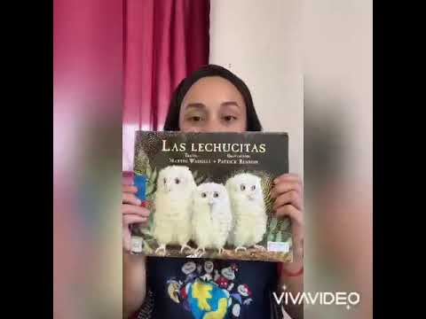 Cuento “las lechucitas”
