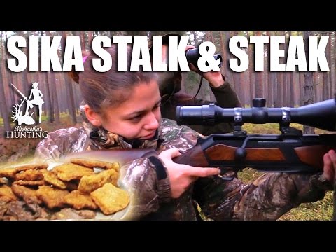 Sika Stalk & Steak with Michaelka Sika Stalk & Steak with Michaelka