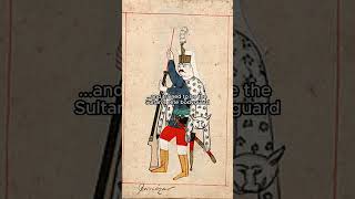 The converted slave soldiers of the Ottomans #history
