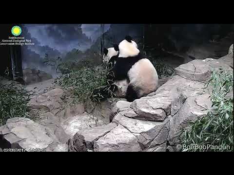 Bei Bei's 2nd Birthday Bonus Deleted Scenes! 08-22-17