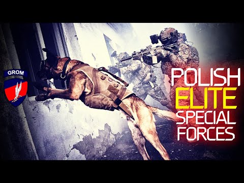 Poland's ELITE Special Forces Unit: JW GROM