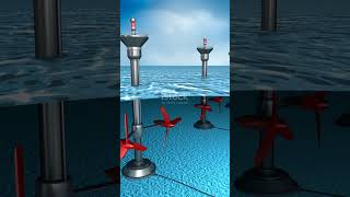 Tidal Energy: Harnessing Power of the Ocean #TidalEnergy #RenewableEnergy #OceanPower #stemeducation
