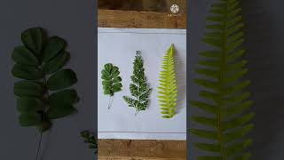Leaf Printing Activity For Kids 🌿
