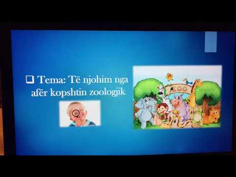 Gjuhë.shqipe klasa përgatitore. Të njohim nga afër kopështin zoologjik. Mësuese: Violeta Billa.