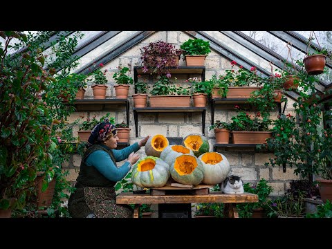 Pumpkin Day in Our Village - The BEST Pumpkin Recipes