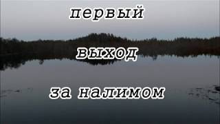 Ловля налима в вологодской области